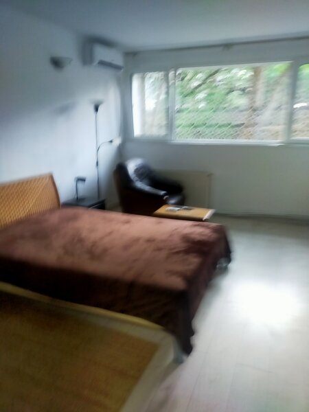 Giulesti- Podul Grant- Stadion Rapid